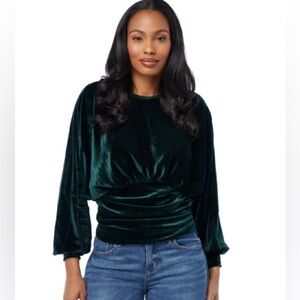Velvet long sleeve blouse